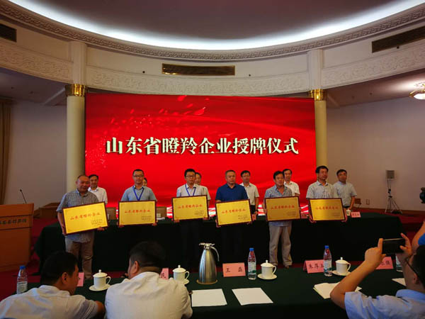 山東省瞪羚企業發展促進會授牌儀